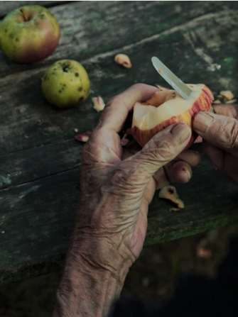 <em>A sad se spušta veče</em>, red. Maja Novaković