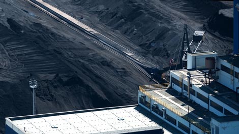 A. D. A. M., red. Vladislav Knežević