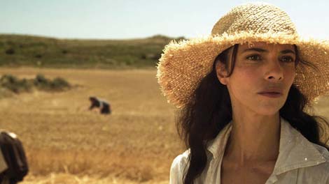 Od tvog prozora do mog (De tu ventana a la mía / Chrysalis), red. Paula Ortiz