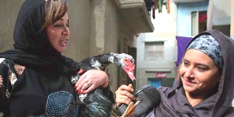 Dan za žene (A Day for Women / Youm Lel Setat), red. Kamla Abou Zekri 