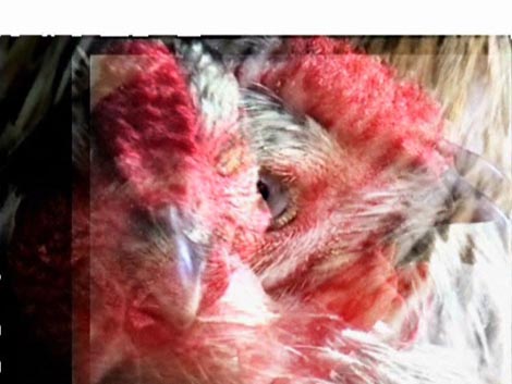 Deep End Art No 1, autor Ivan Ladislav Galeta, 2013., foto: hfs.hr