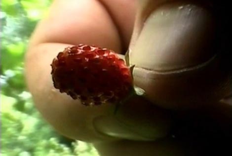 Deep End Art No. 1 Ivana Ladislava Galete