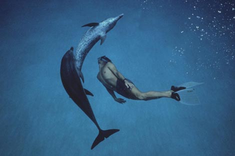 Dječak dupin (Dolphin Boy), red. Dani Menkin, Yonatan Nir