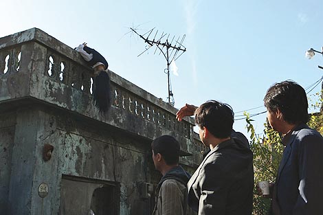 Majka (Madeo), red. Joon-ho Bong