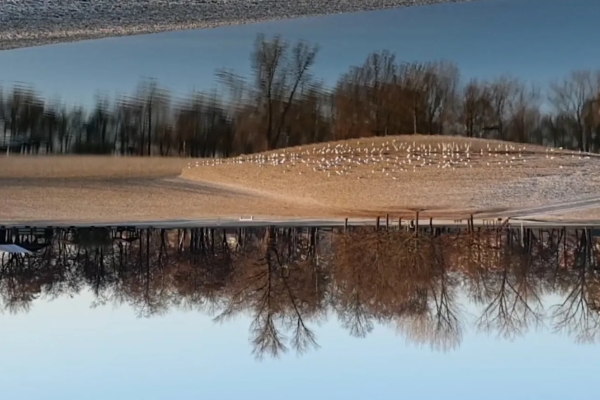 <em>Nebo ispod nas</em>, red. Marija Crvenković