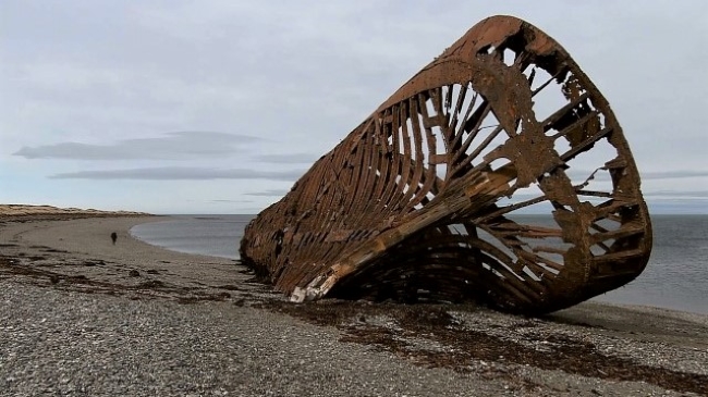 <em>Porvenir</em>, red. Renata Poljak