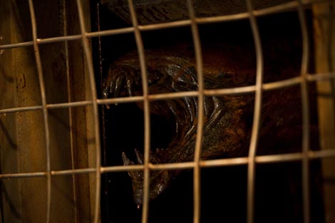 Riddick, red. David Twohy