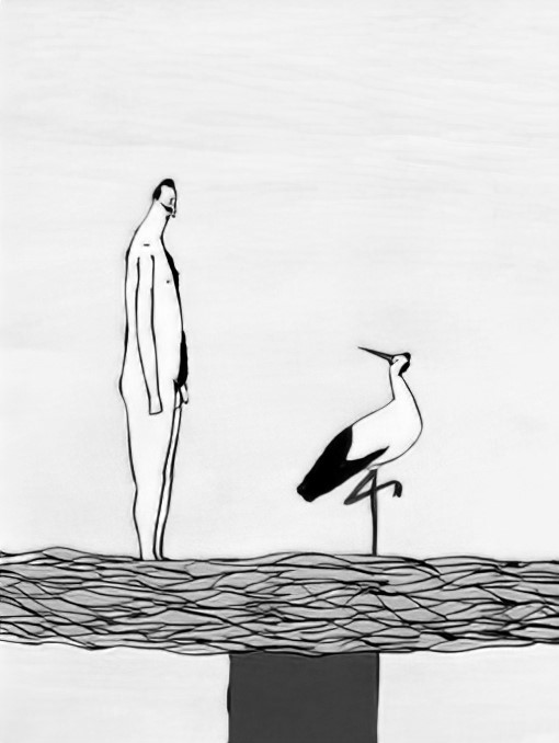 <em>Roda</em>, red. Lucija Mrzljak i Morten Tšinakov