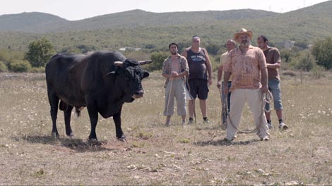 Sonja i bik, red. Vlatka Vorkapić