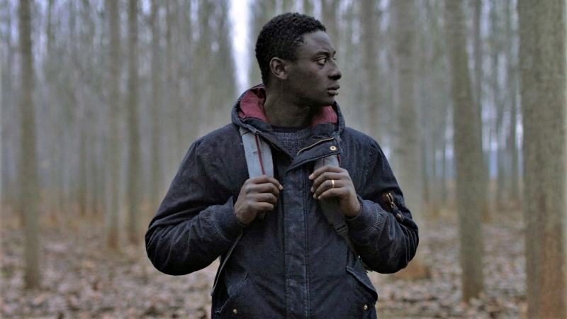 <em>Strahinja Banović</em>, red. Stefan Arsenijević