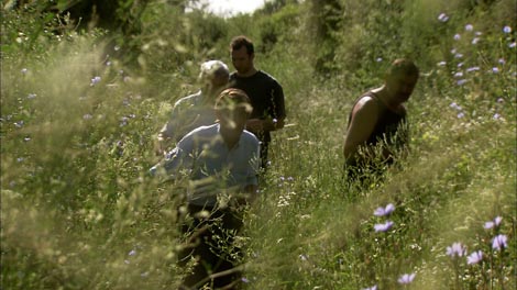 Strange Fruit Ivana Faktora