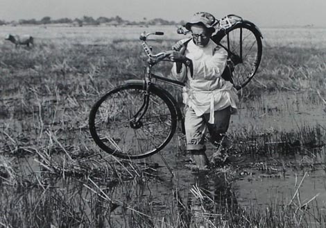 Tamo gdje palme cvatu, red. Ljiljana Bunjevac-Filipović
