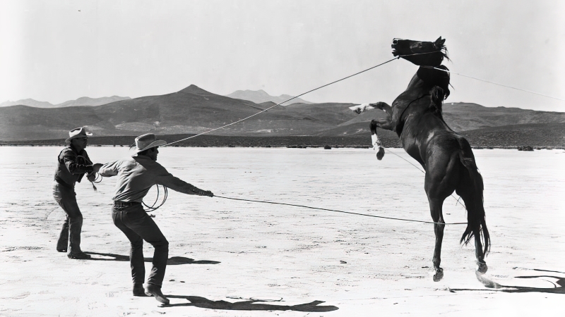 <em>Neprilagođeni</em> (<em>The Misfits</em>), 1961.