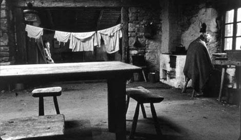 Torinski konj (A Torinói ló), red. Béla Tarr