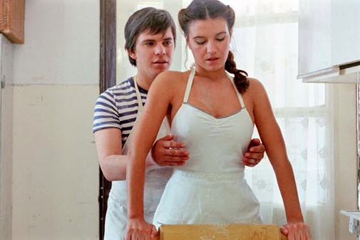 <em>Varljivo leto '68</em>, 1984.