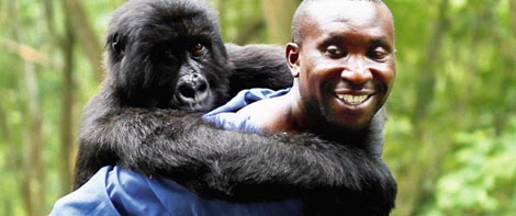 Virunga, red. Orlando von Einsiedel, dobitnik Velikog pečata na 11. Zagrebdoxu 2015.
