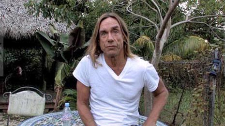 Wild Thing, red. Jérôme de Missolz