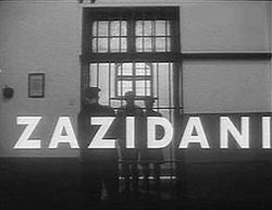 Zazidani, red. Kokan Rakonjac