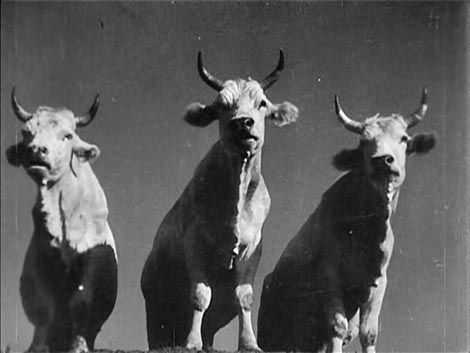 Zemlja (Zemla), red. Aleksandar Petrovič Dovženko