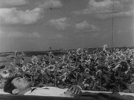 Zemlja (Zemla), red. Aleksandar Petrovič Dovženko