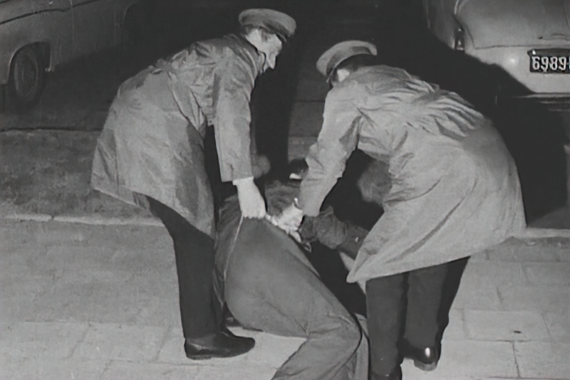 <em>Normalna zemlja</em> (<em>Zwyczajny kraj</em>), red. Tomasz Volski